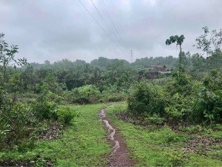Land for sale in morthana
