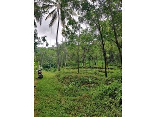 Land for urgent sale at Anakampoyil,