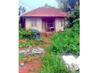 House for sale in  Kannur