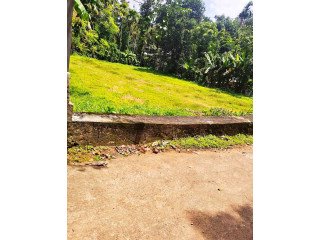 Land for sale in  Pathanamthitta