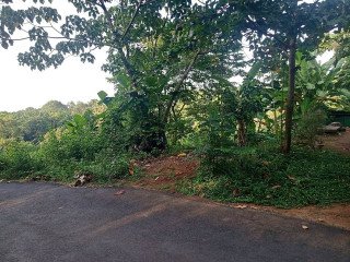 Land for sale in Thodupuzha