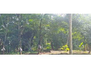 Land for sale in Perinthalmanna