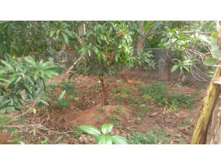 House Plot For Sale In Thiroor
