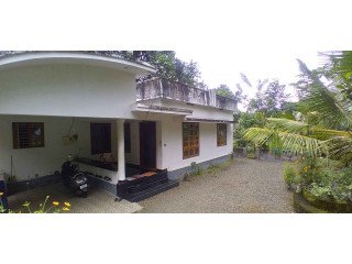 Land & House for sale in Ranni