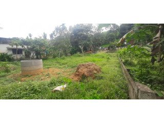 Land for sale in Pathanamthitta