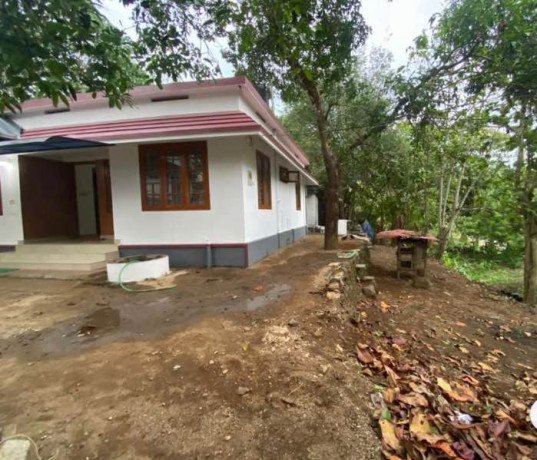 house-for-sale-in-kothamangalam-big-0