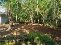 land-for-sale-in-chamakkala-small-1