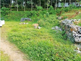 7cent land for sale in Ranny