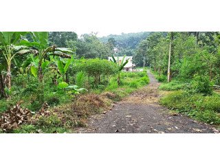 Land for sale in Changanasseri