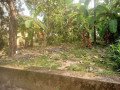 land-for-sale-in-manjummal-small-0