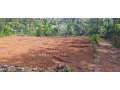 land-for-sale-in-nilambur-small-0