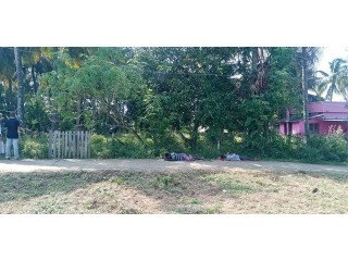 Land for sale in Palakkad