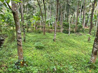 Land for sale in Thrissur