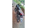 bajaj-pulser-150-2019-model-small-0