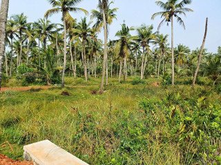 Land for sale ramanatukara