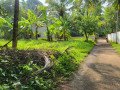 residential-plot-for-sale-in-kozhikode-small-2