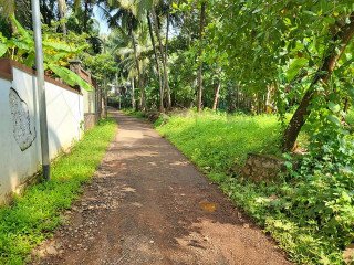 Residential plot for sale in Kozhikode