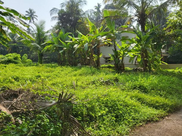 residential-plot-for-sale-in-kozhikode-big-1