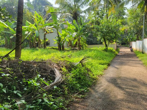 residential-plot-for-sale-in-kozhikode-big-2