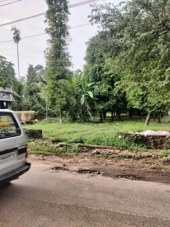 land-for-sale-in-nedumbassery-big-0