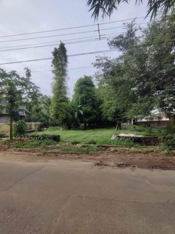 land-for-sale-in-nedumbassery-big-1