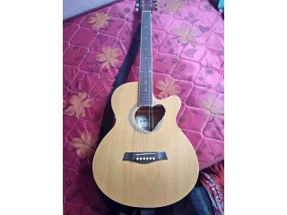 Acoustic guitar