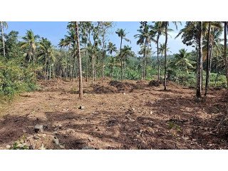 Land for sale in Cheerankavu