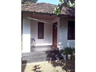 Land and House for Sale in Kothamangalam