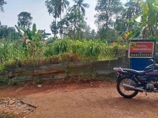 Land for sale in Nedumangad