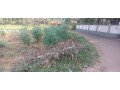 land-for-sale-in-kk-pandikkad-malappuram-small-2