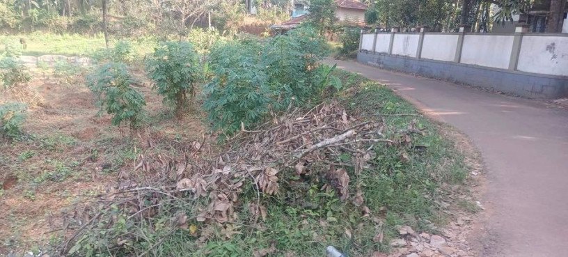 land-for-sale-in-kk-pandikkad-malappuram-big-2