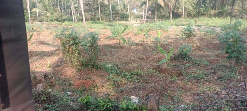 land-for-sale-in-kk-pandikkad-malappuram-big-1