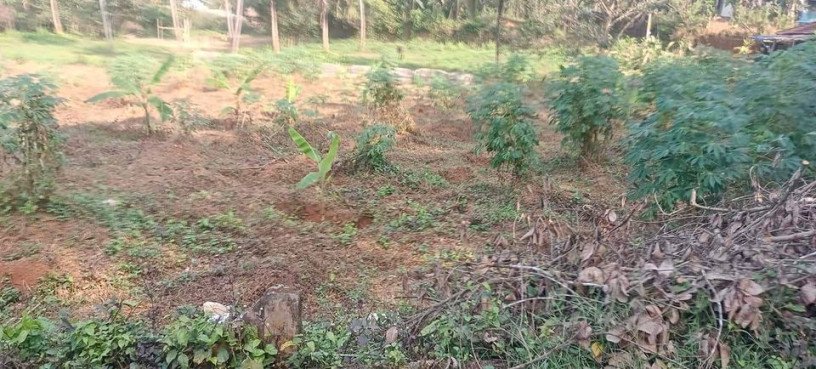 land-for-sale-in-kk-pandikkad-malappuram-big-0