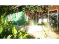 home-stay-with-plantation-view-on-the-way-to-anakkulam-small-0