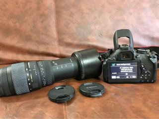 Canon ECOS 650D with SIGMA DG 70-300