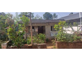 4 cent 600 sqft veedum thoudupuzha