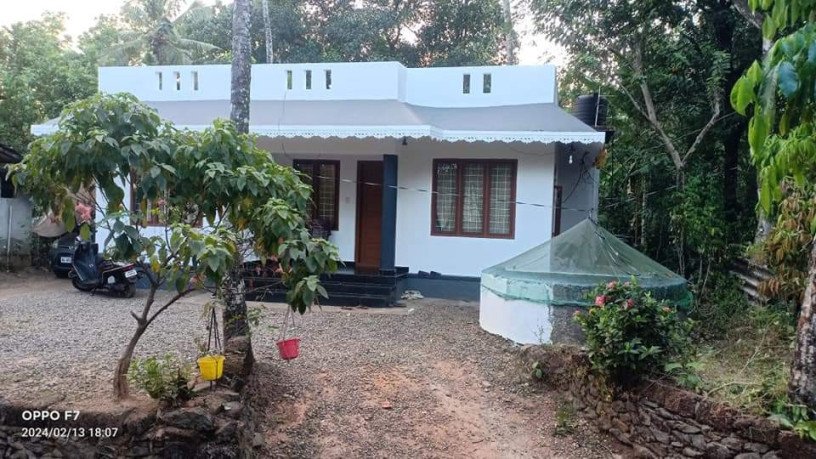 house-for-sale-in-kothamangalam-big-1