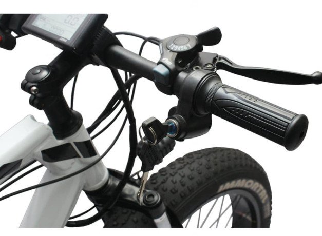 strudy-electric-fat-bike-for-sale-big-1