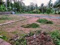 plot-for-sale-in-chottanikkara-small-0