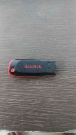 sandisk-big-1