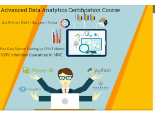 Data Analyst Training Institute in Delhi, [100% Job,
