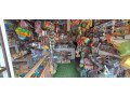 toy-shope-for-sale-small-0