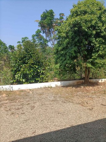 property-for-sale-in-kuttampuzha-big-1