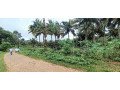 watter-front-land-for-sale-thavalam-attappady-small-0