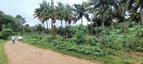 watter-front-land-for-sale-thavalam-attappady-big-0