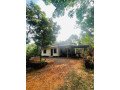 house-for-sale-in-kothamangalam-small-1