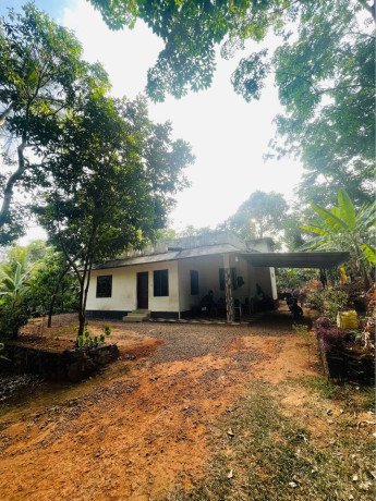 house-for-sale-in-kothamangalam-big-1