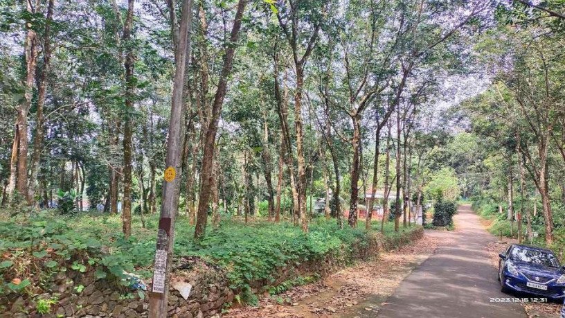 land-for-sale-in-puthuppally-big-0