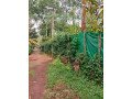 house-plot-for-sale-in-idukki-small-0