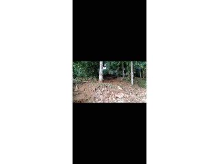 Land for sale in Kanjirappally